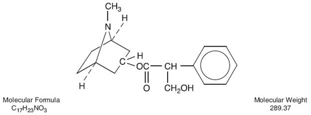 Atropine Sulfate Chloride